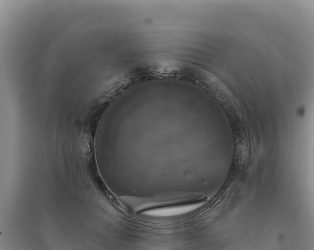 X0000094350654200711091453