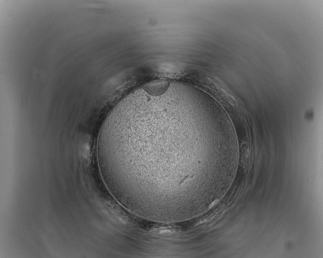 X0000094350655200711091453