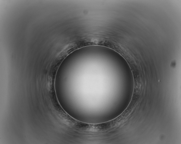 X0000094350656200711091453