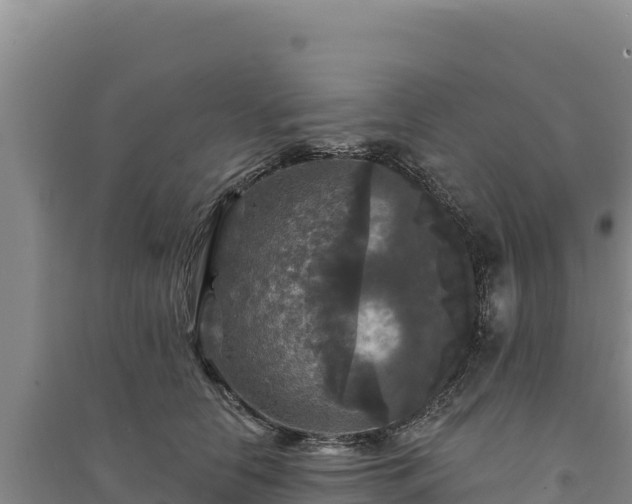 X0000094350658200711091453