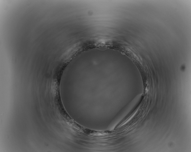 X0000094350659200711091453