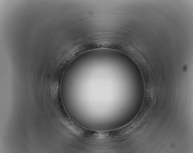 X0000094350660200711091453