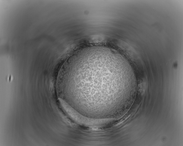 X0000094350662200711091453