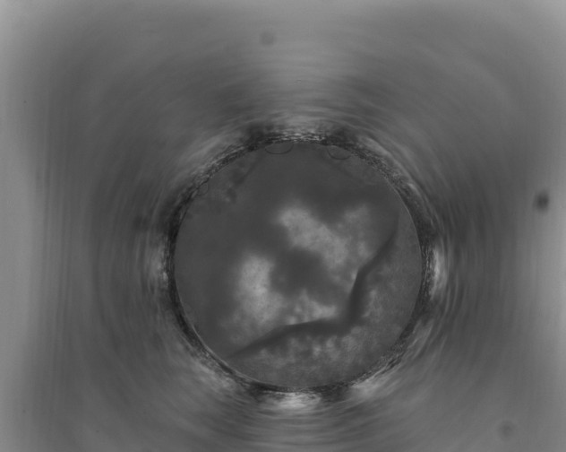 X0000094350663200711091453