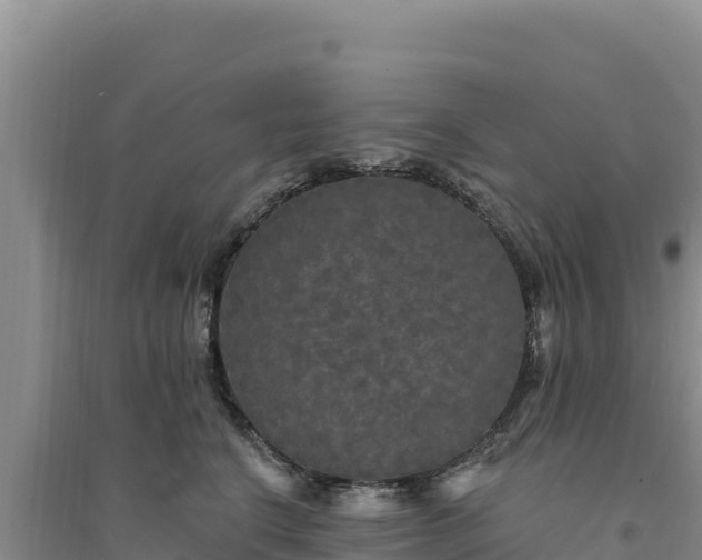 X0000094350664200711091453