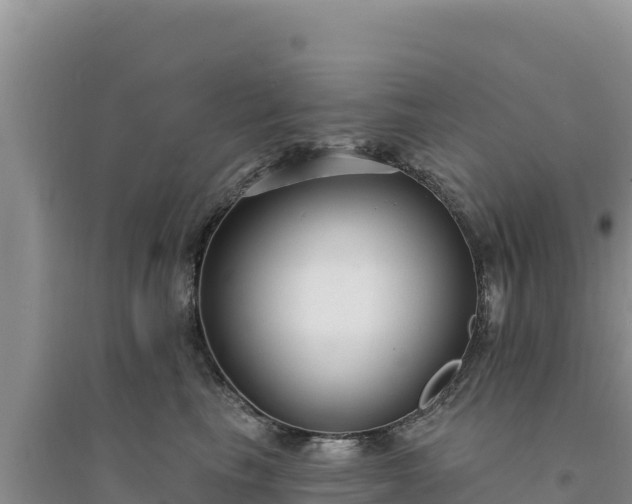 X0000094350665200711091453