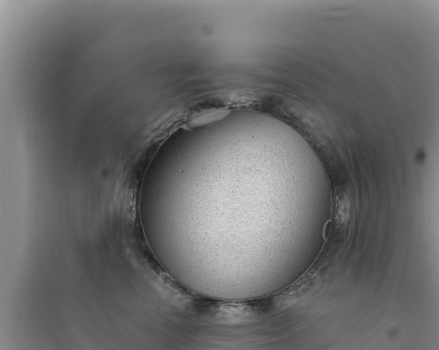 X0000094350666200711091453