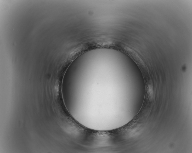 X0000094350668200711091453