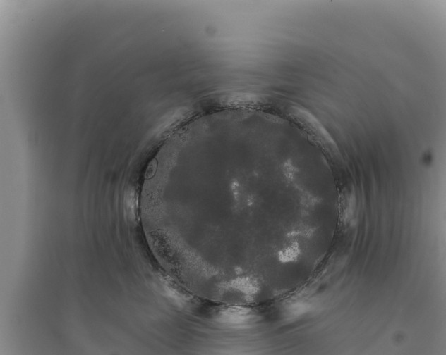 X0000094350669200711091453