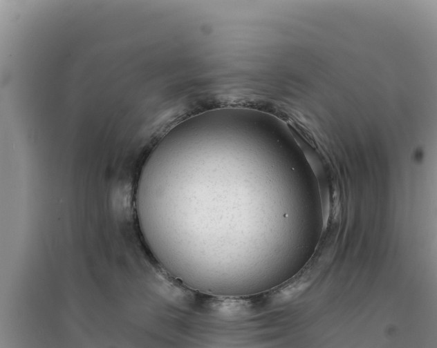 X0000094350670200711091453