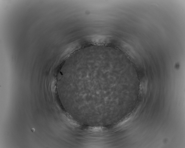 X0000094350671200711091453