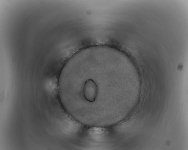 X0000094350672200711091453