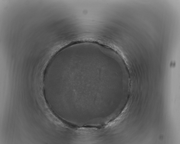 X0000094350673200711091453