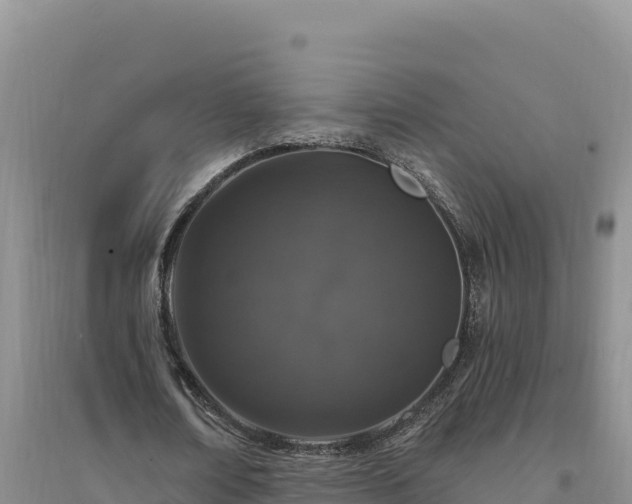 X0000094350674200711091453