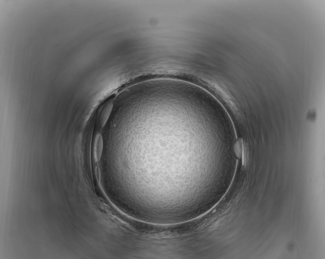 X0000094350675200711091453