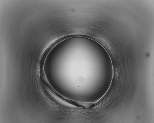 X0000094350676200711091453