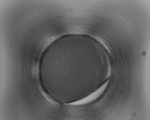 X0000094350677200711091453