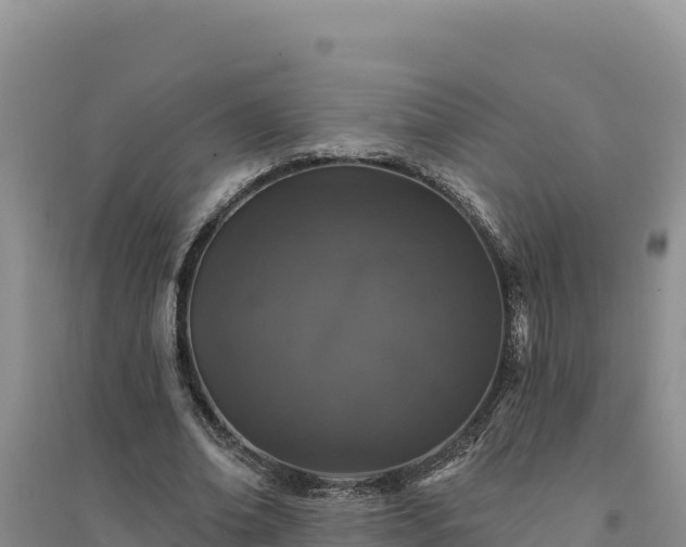 X0000094350678200711091453