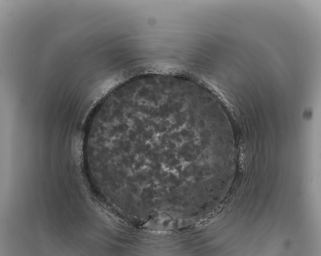 X0000094350679200711091453