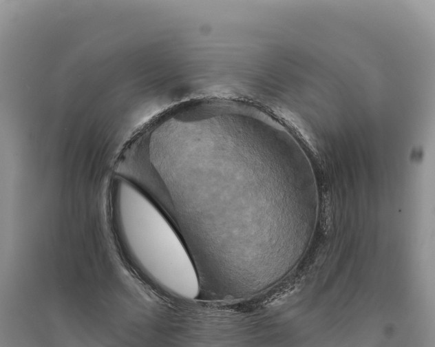 X0000094350680200711091453