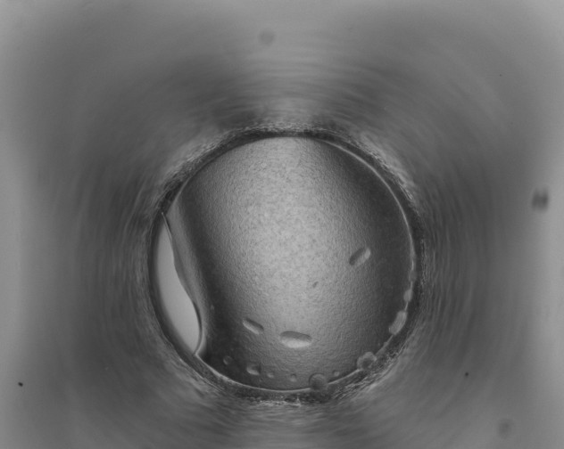 X0000094350681200711091453