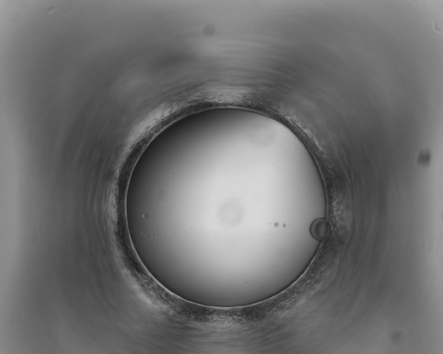 X0000094350682200711091453