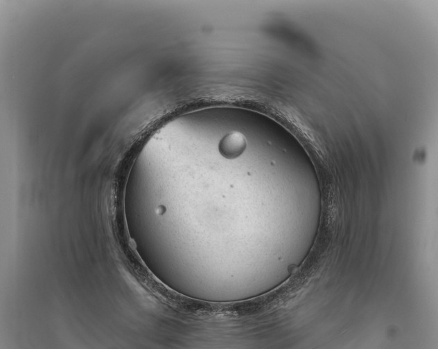 X0000094350683200711091453