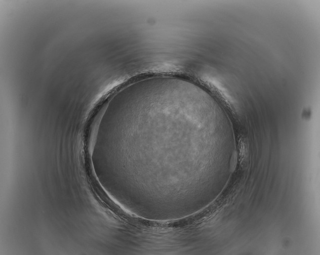 X0000094350684200711091453