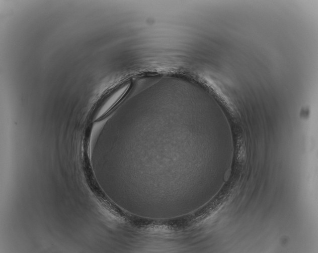 X0000094350685200711091453