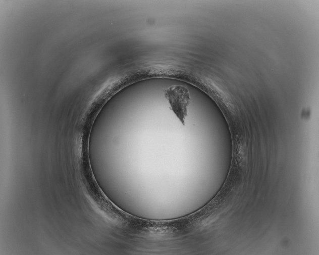 X0000094350686200711091453