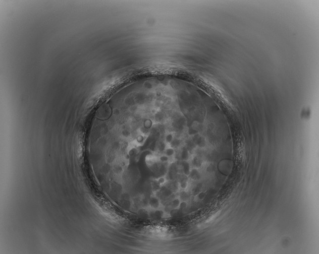 X0000094350687200711091453