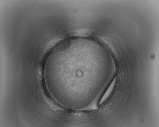 X0000094350688200711091452