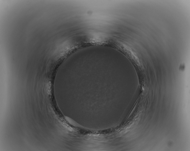 X0000094350689200711091452