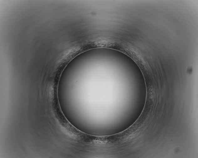 X0000094350690200711091452