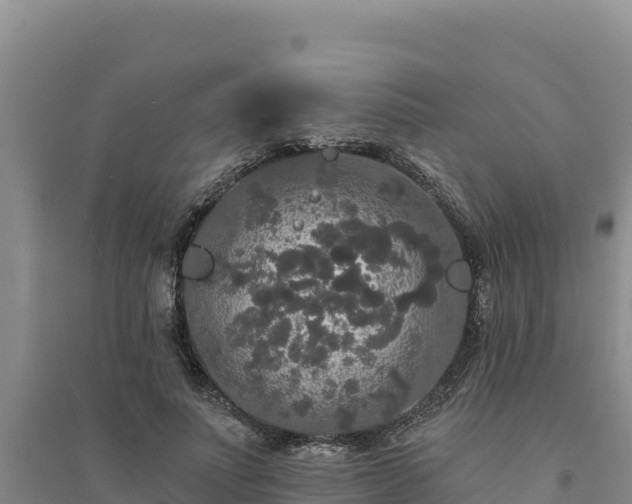 X0000094350691200711091452