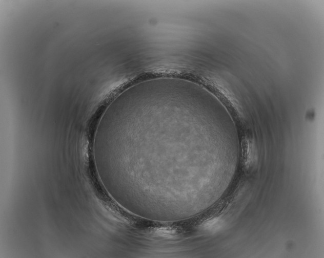 X0000094350692200711091452