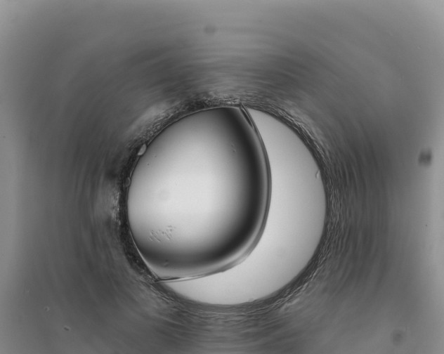 X0000094350693200711091452