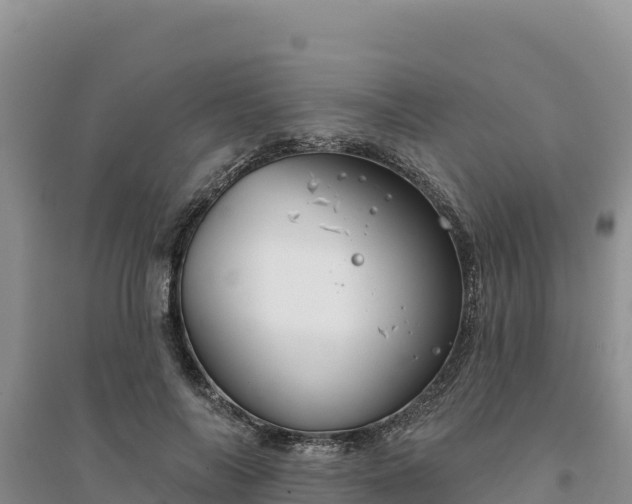 X0000094350694200711091452