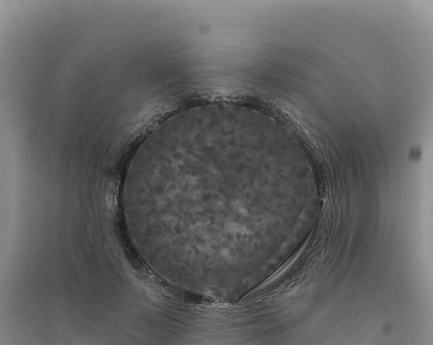 X0000094350695200711091452