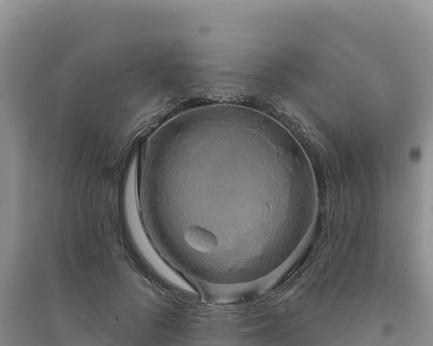 X0000094350696200711091452