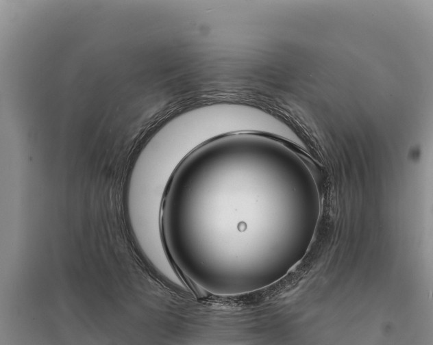 X0000094350697200711091452