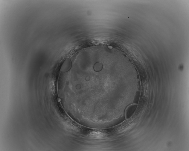 X0000094350699200711091452