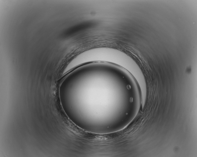 X0000094350701200711091452