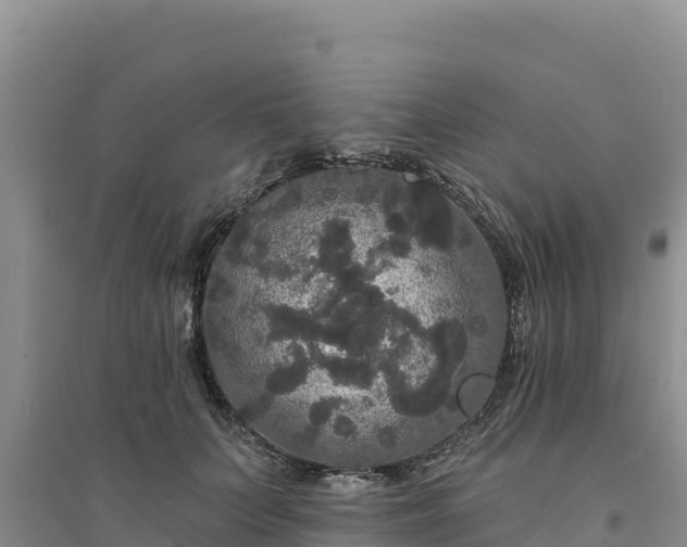 X0000094350703200711091452