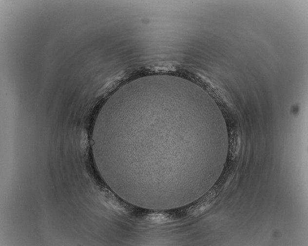 X0000094350704200711091452