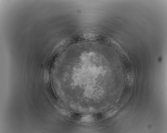 X0000094350705200711091452