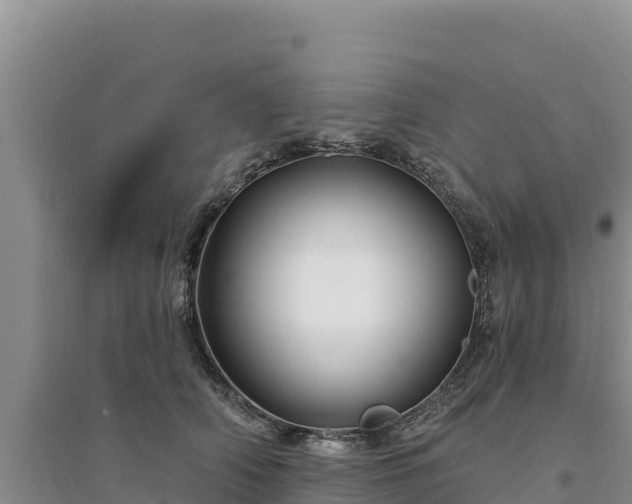 X0000094350706200711091452