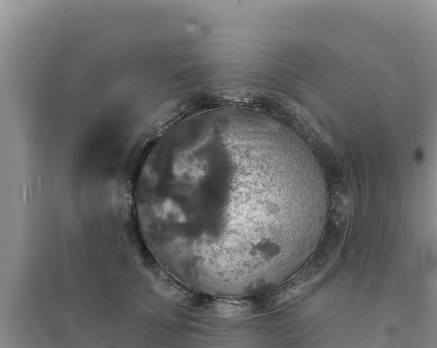 X0000094350707200711091452