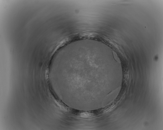 X0000094350708200711091452