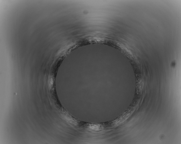 X0000094350709200711091452